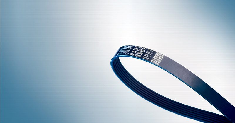 Image showing Ribbed Fan Belts by Dayco Belts