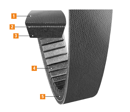 Variable Speed Cog Belt Features