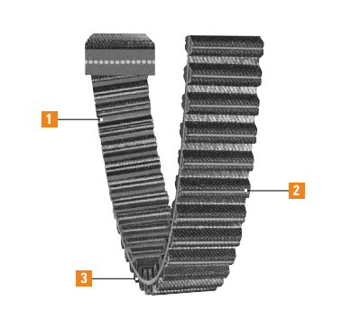 Dual Synchronous Belts Features
